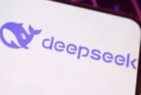 2025年,网站站长在创业方向,deepseek给了答案,别再到处问了