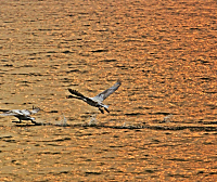 比疫情更可怕的危机已经来临了