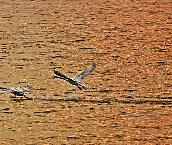 比疫情更可怕的危机已经来临了